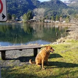 Meet your Posher, Alison